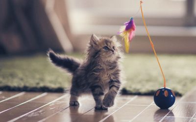 Beneficios de jugar