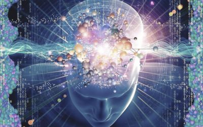 ¿Es verdad que usamos solo el 10% de nuestro cerebro?
